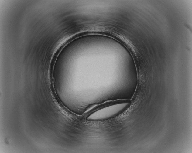 X0000096630935200802191153