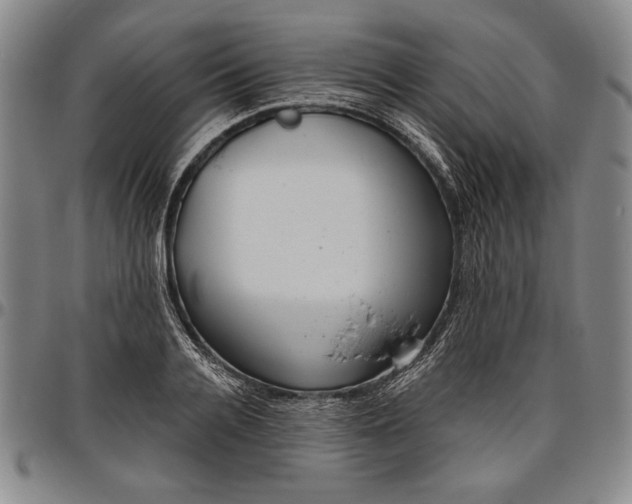 X0000096630936200802191153