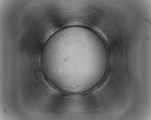 X0000096630937200802191153