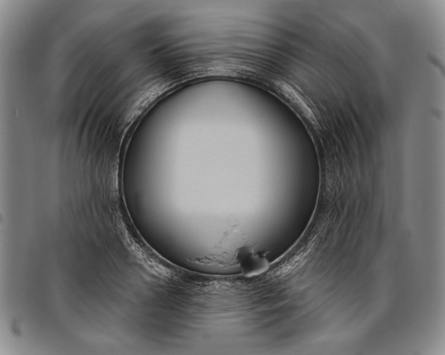 X0000096630938200802191153