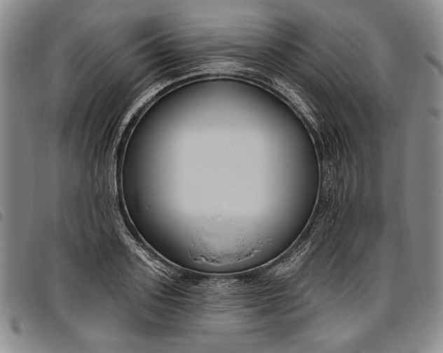 X0000096630939200802191153