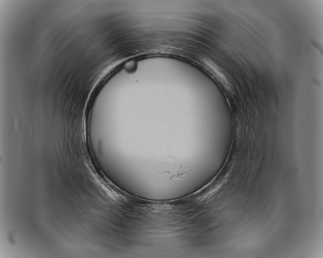 X0000096630940200802191153