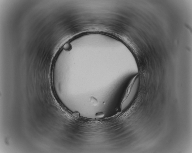 X0000096630943200802191153