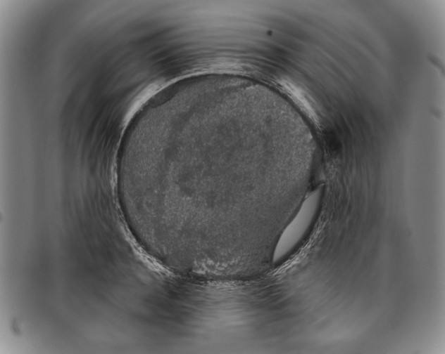 X0000096630944200802191153