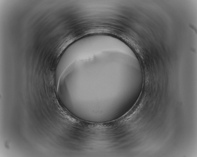 X0000096630945200802191153