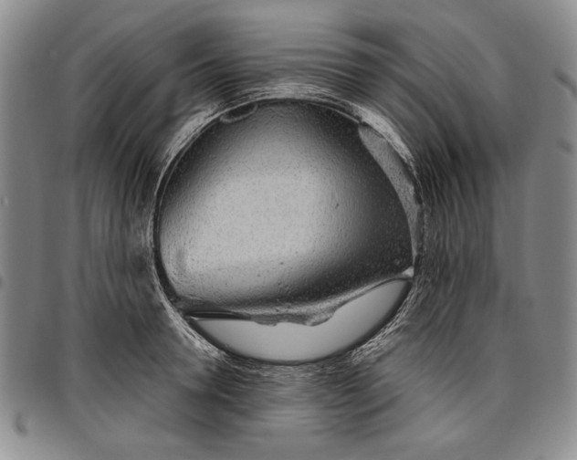 X0000096630946200802191153
