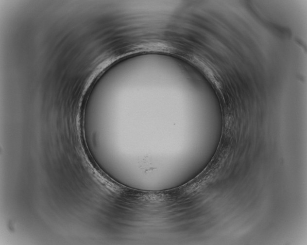 X0000096630947200802191153