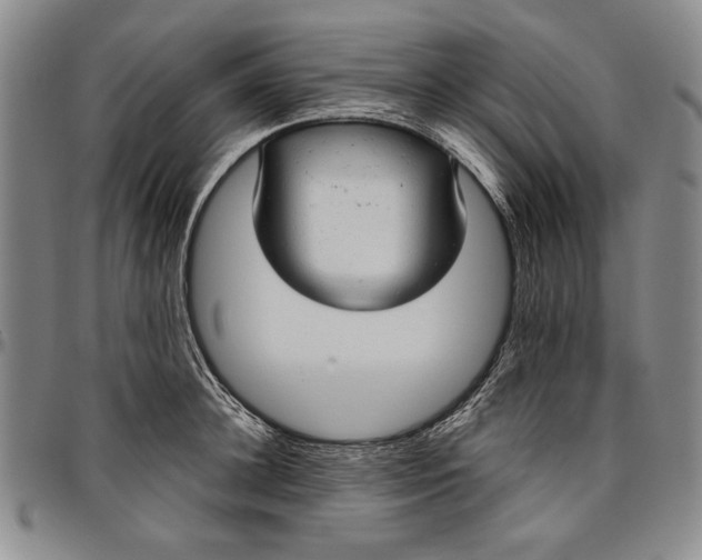 X0000096630948200802191153