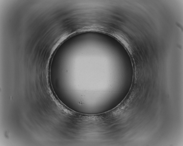 X0000096630949200802191153