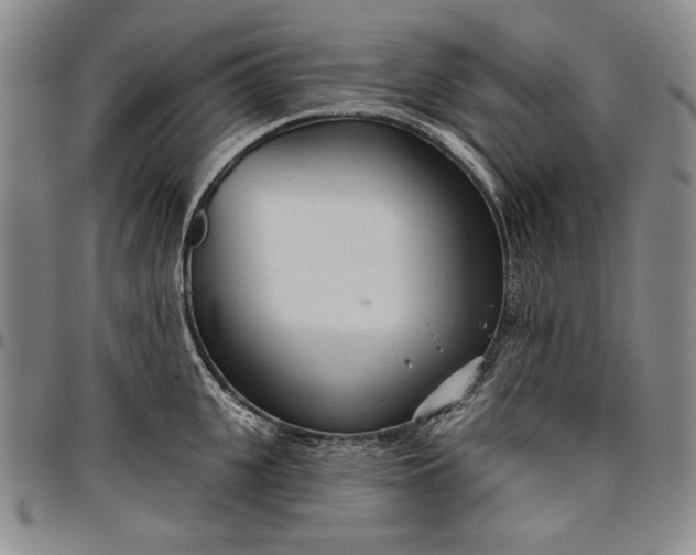 X0000096630951200802191153