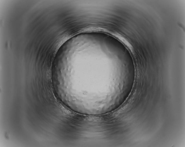 X0000096630953200802191153