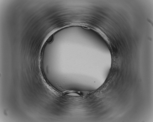 X0000096630955200802191153