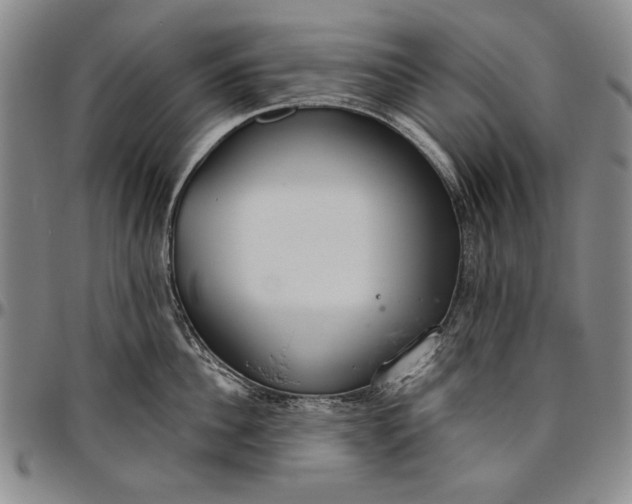 X0000096630956200802191153
