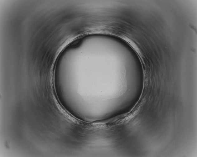 X0000096630957200802191153