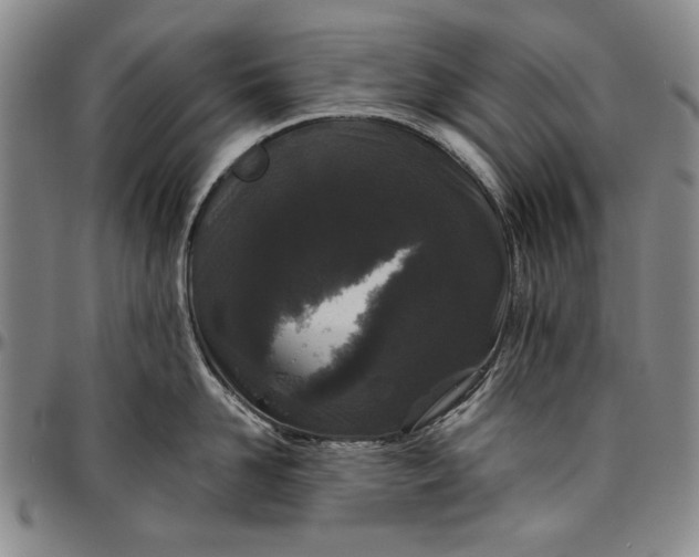 X0000096630958200802191153