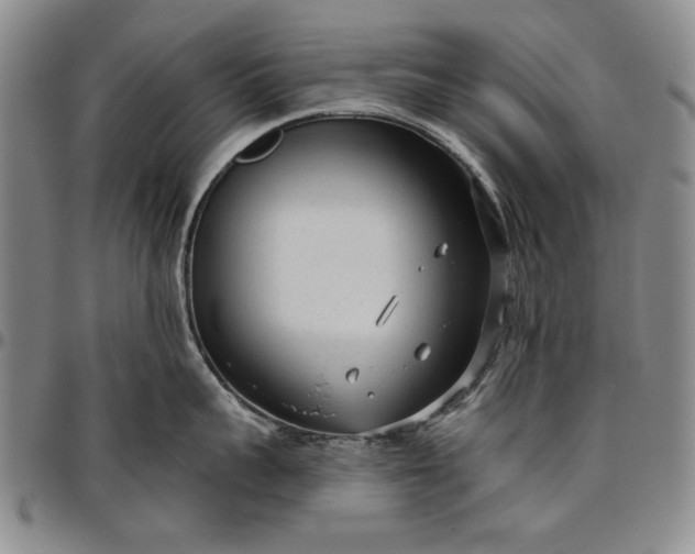 X0000096630959200802191153
