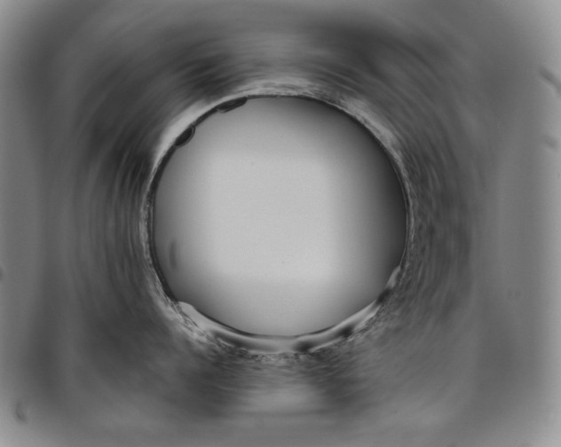 X0000096630960200802191153
