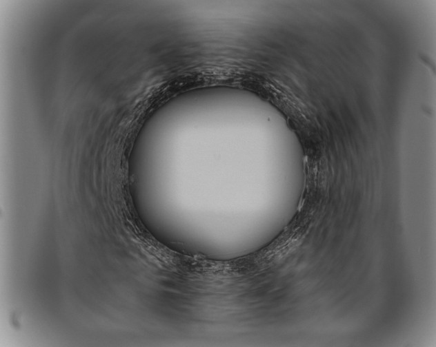 X0000096630961200802191153