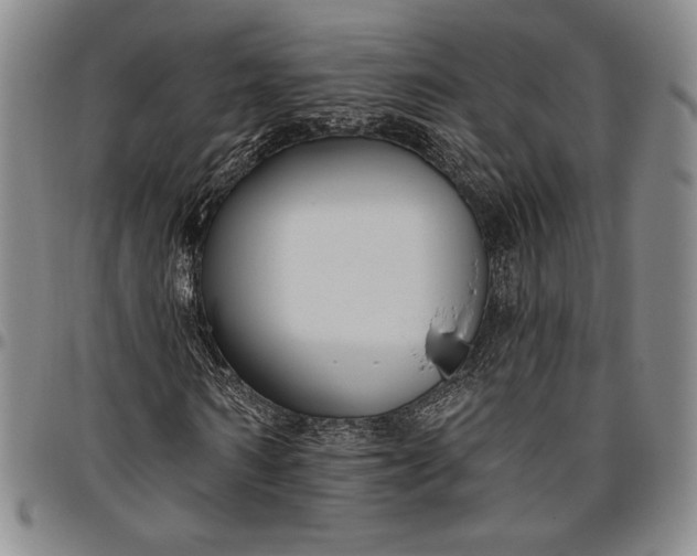 X0000096630962200802191153