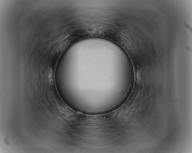 X0000096630963200802191153