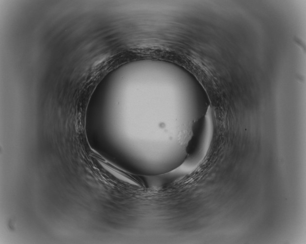X0000096630965200802191153