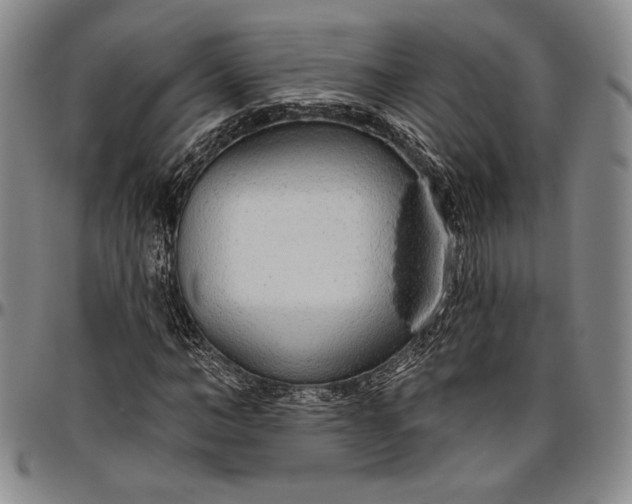 X0000096630966200802191153