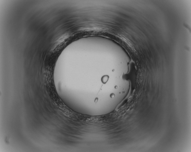 X0000096630967200802191153