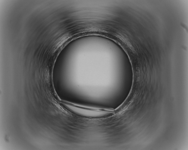 X0000096630969200802191152