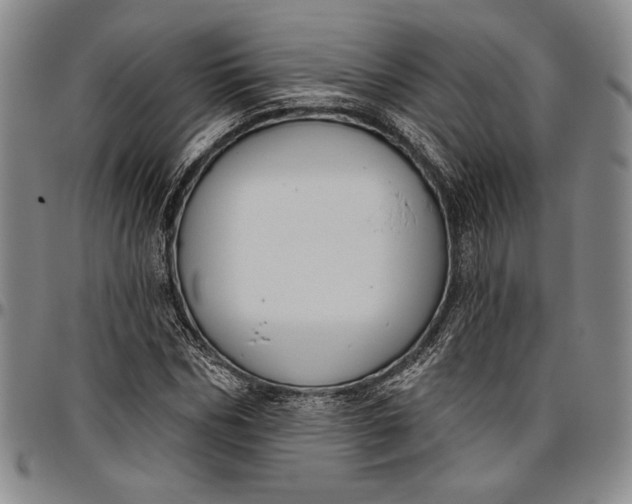 X0000096630970200802191152
