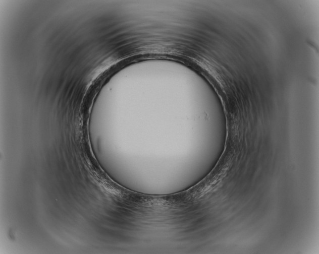 X0000096630971200802191152