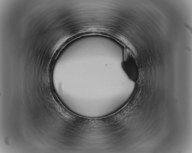 X0000096630972200802191152
