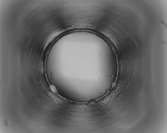X0000096630973200802191152