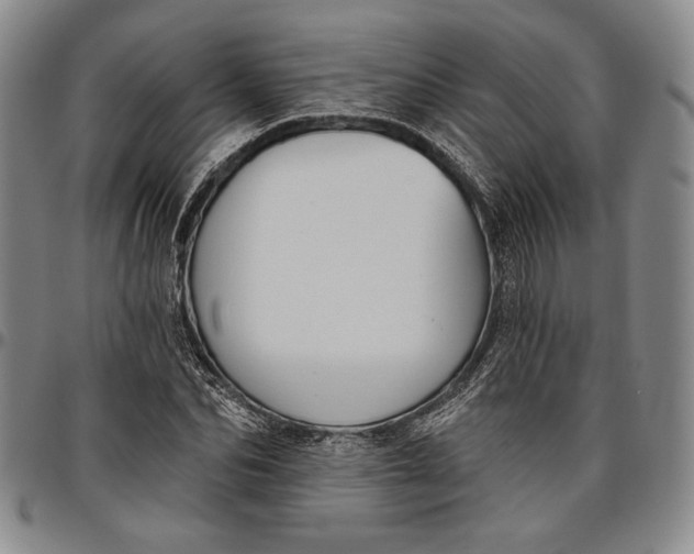X0000096630974200802191152