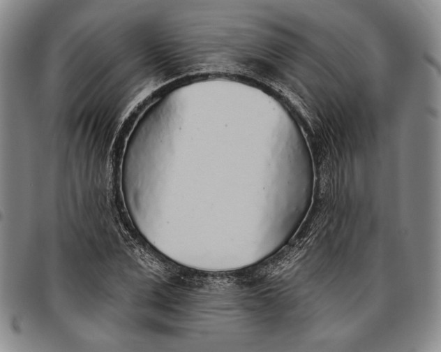 X0000096630975200802191152