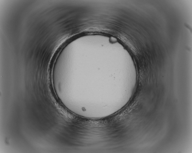 X0000096630976200802191152
