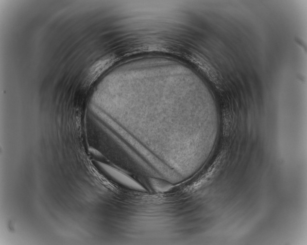 X0000096630977200802191152