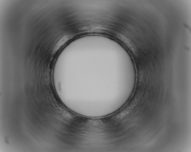 X0000096630978200802191152