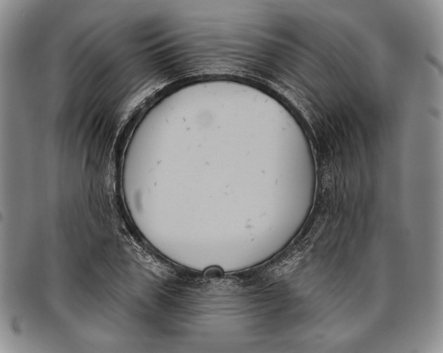 X0000096630979200802191152