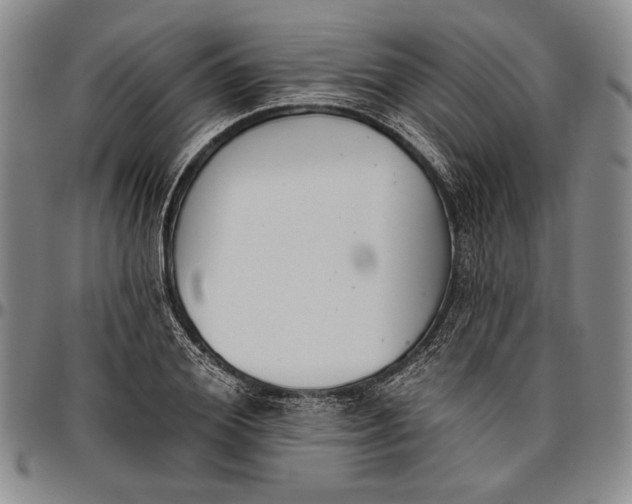 X0000096630980200802191152