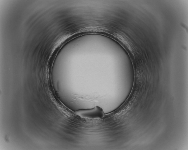 X0000096630981200802191152