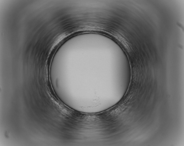 X0000096630982200802191152
