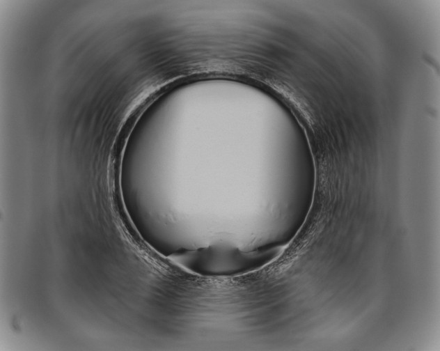 X0000096630983200802191152