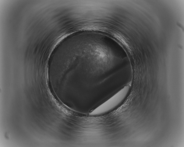 X0000096630984200802191152