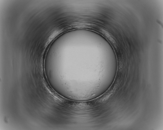 X0000096630986200802191152