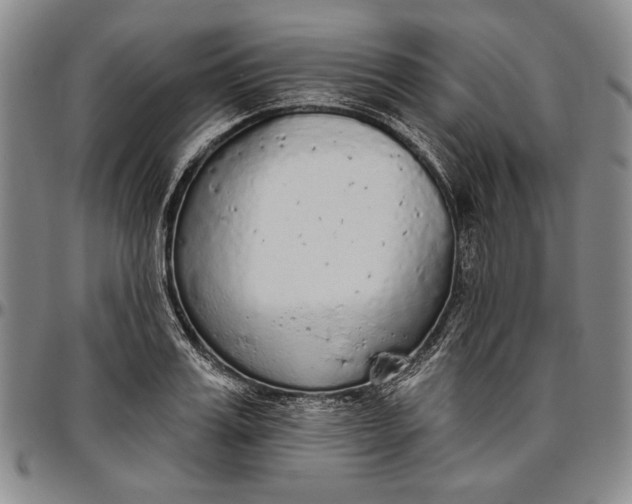 X0000096630987200802191152