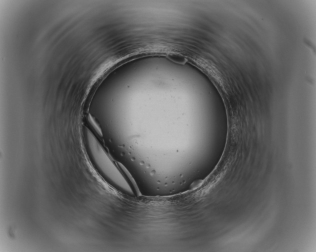 X0000096630989200802191152
