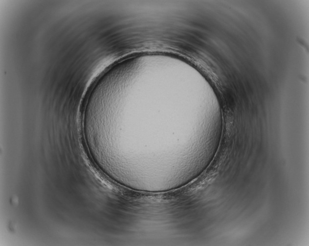 X0000096630990200802191152