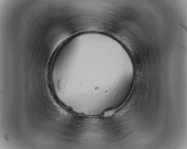 X0000096630991200802191152