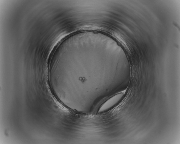X0000096630992200802191152