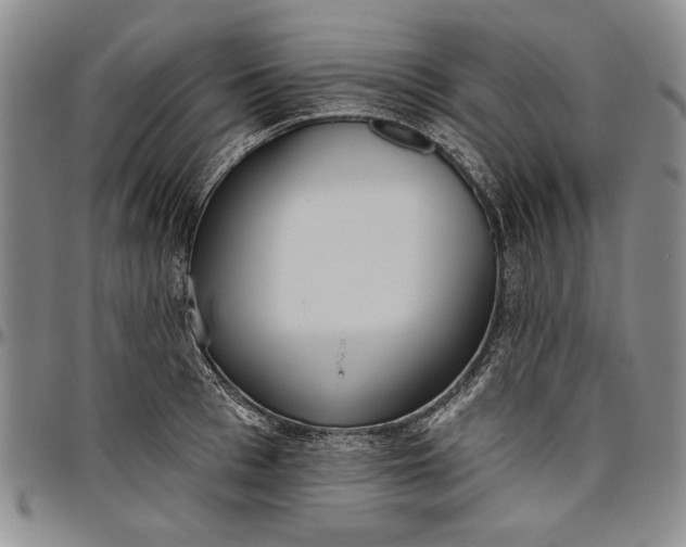 X0000096630993200802191152